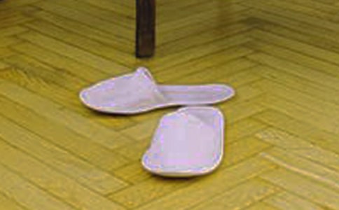 大班美術(shù)我的小拖鞋教案