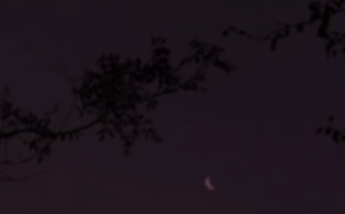 2024年通用治愈系晚安心語語錄25句