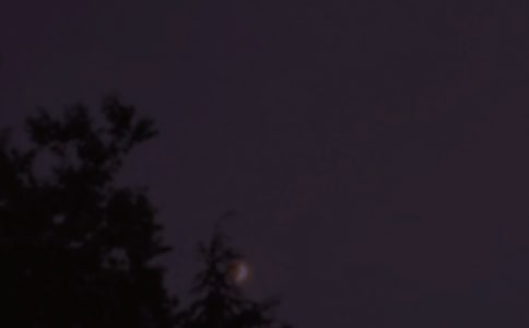 關于暖心晚安句子大全55句