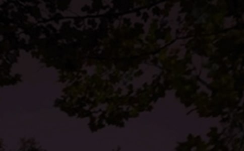 實(shí)用的唯美的晚安心語語錄35條