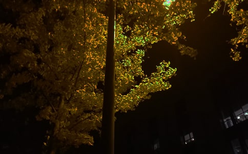 ���x���õ��������Z(y��)�Z(y��)䛼���48�l