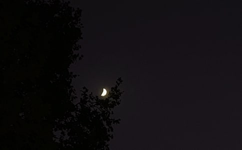 全新的晚安句子