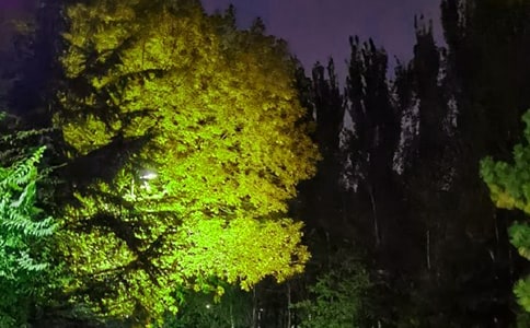 簡短的治愈系晚安心語語錄匯總83句