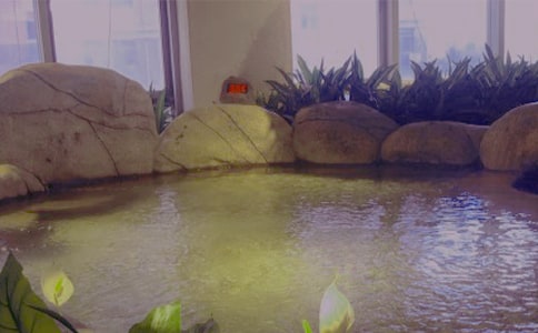 �ݜ�Ȫ��ӛ�������꼉(j��)