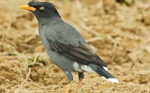 ���f��ˮ�̌W�O(sh��)Ӌ�����x5ƪ��