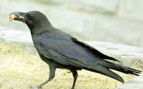 �����꼉(j��)��С���f��(��i)����