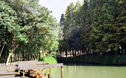 美麗的烏鎮(zhèn)作文