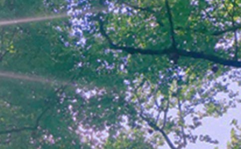 ��(j��ng)������Ȧ�簲����40��