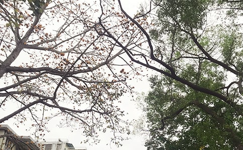 2023年正能量的午安語(yǔ)錄匯總96條