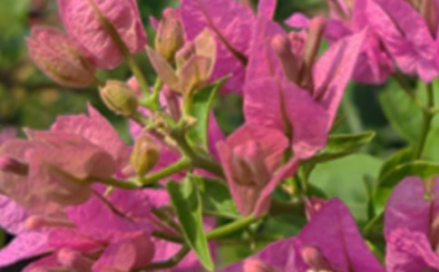 ���������簲�Z䛾��x15ƪ