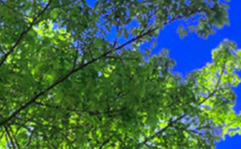 ��(j��ng)���簲�Z�90�侫�x