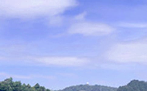 �簲�Z(y��)�ժ�43�l