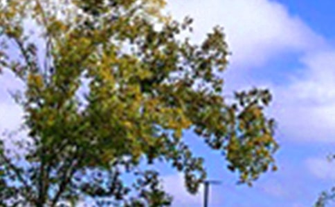 暖心午安句子50句精選