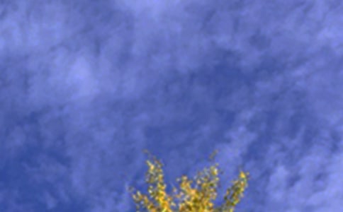 [��(j��ng)��]�����簲�ľ���