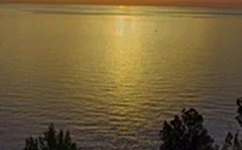 2023年午安語錄集錦30句