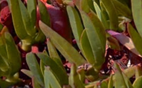 ��(j��ng)�����������簲�Z(y��)䛺ϼ�74��