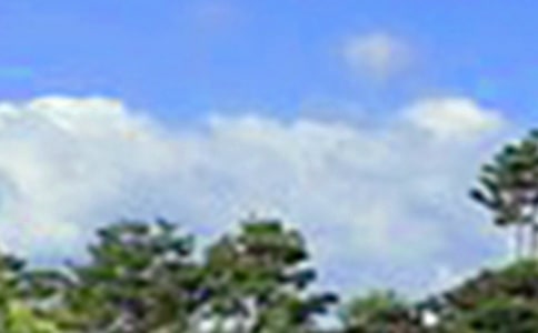 經(jīng)典溫馨午安語錄大全60句精選