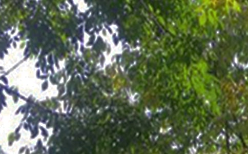 經(jīng)典溫馨午安句子60句精選