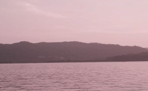 �茑(xi��)����������