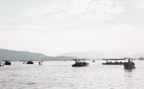 【精品】介紹西湖的作文三篇