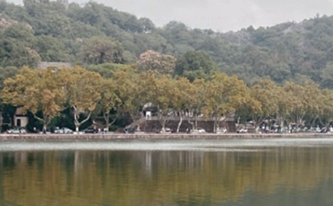 ��������ӛ���ąR����ƪ