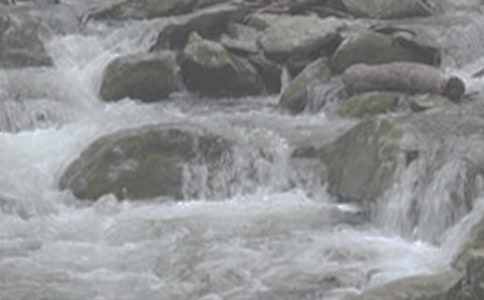 《小溪流的歌》 2