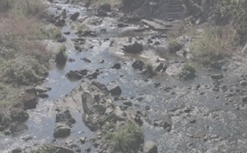 ��СϪ���ĸ衷 3