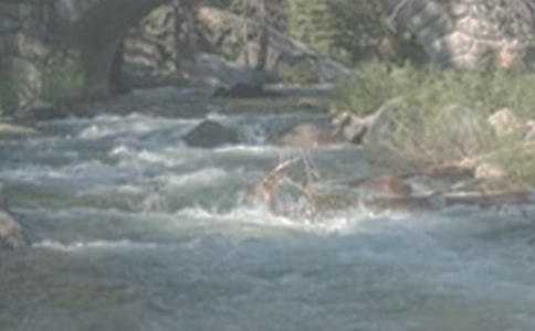 ��СϪ���ĸ衷�Ľ̌W�OӋ