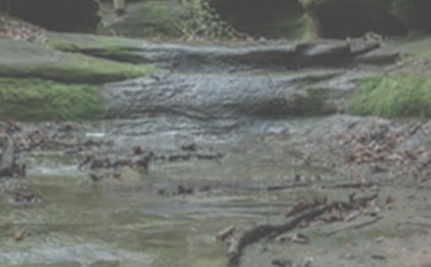 ��СϪ���ĸ衷�ڶ��n�r ����һ�꼉