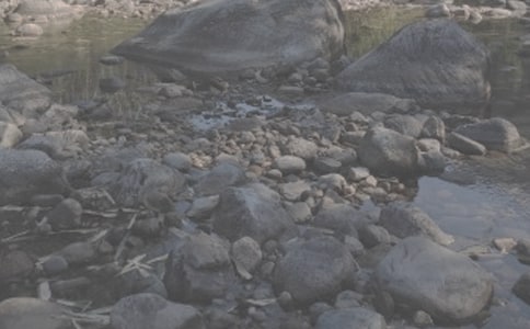 《小溪流的歌》