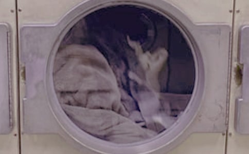 洗衣房年度的工作總結(jié)