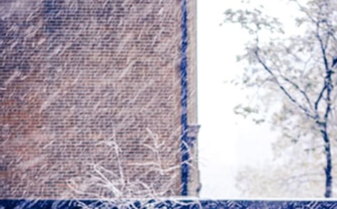 ��ѩ�����ġ�����