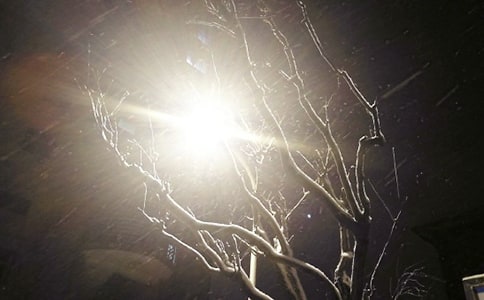 ������ѩ�˵�����