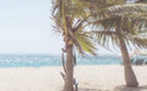 街道夏季農(nóng)業(yè)生產(chǎn)工作匯報(bào)