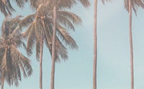 我喜歡夏季作文15篇