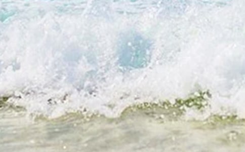 描寫美好夏天的句子