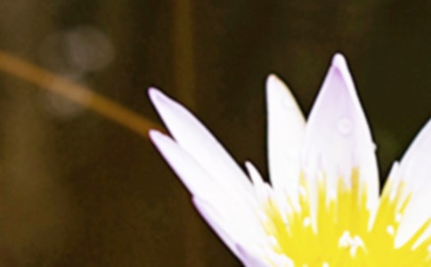 �茑�����Ľ�(j��ng)����ӣ����x180�䣩