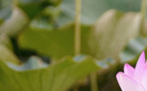 �茑�����Ľ�(j��ng)�����4ƪ