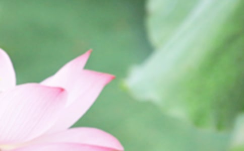 ����δ����(y��u)������