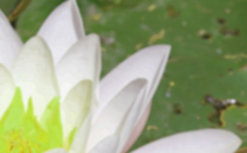 《夏至未至》經(jīng)典語錄