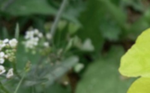 �������Ӻ���_����Ψ������