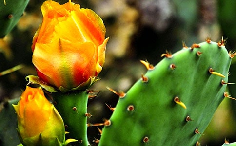 �P(gu��n)����������ӛ���ąR��8ƪ