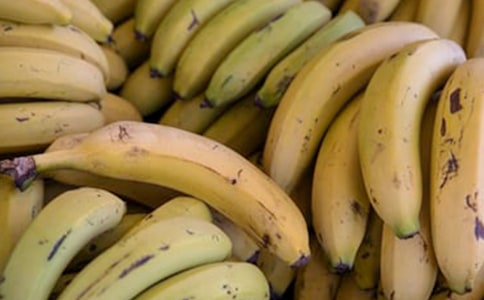 最?lèi)?ài)香蕉作文