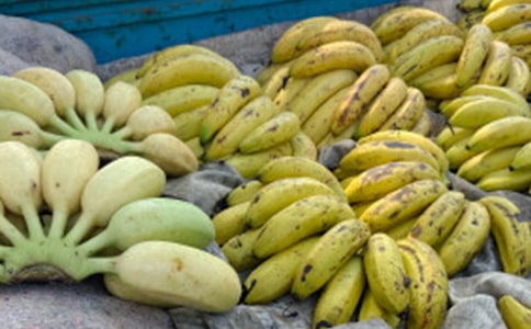 �㽶ͯԒ(hu��)����