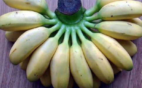 香蕉優(yōu)秀作文(12篇)