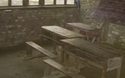 �l(xi��ng)��С�W�Z���n��΢������̽