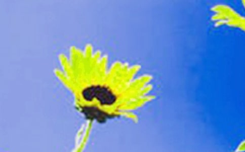 [���x]���տ�����