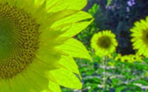 �����������ģ����տ����_(k��i)