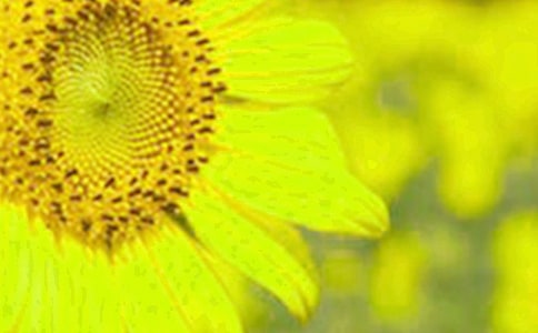 ������g(sh��)���p���տ��̰�