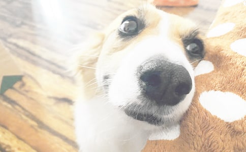 С����(y��u)������15ƪ[��Ʒ]